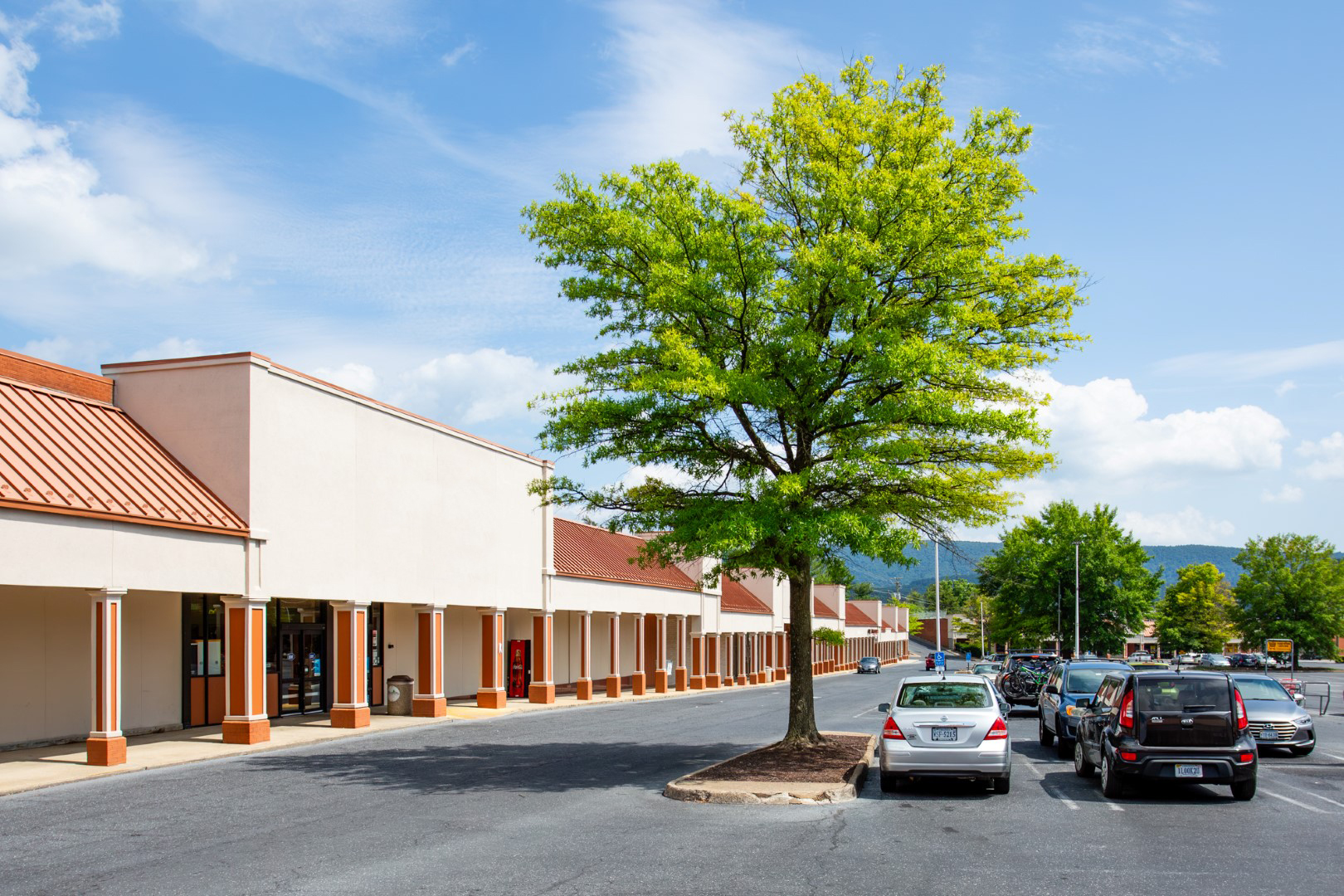 Willow Oak Plaza image