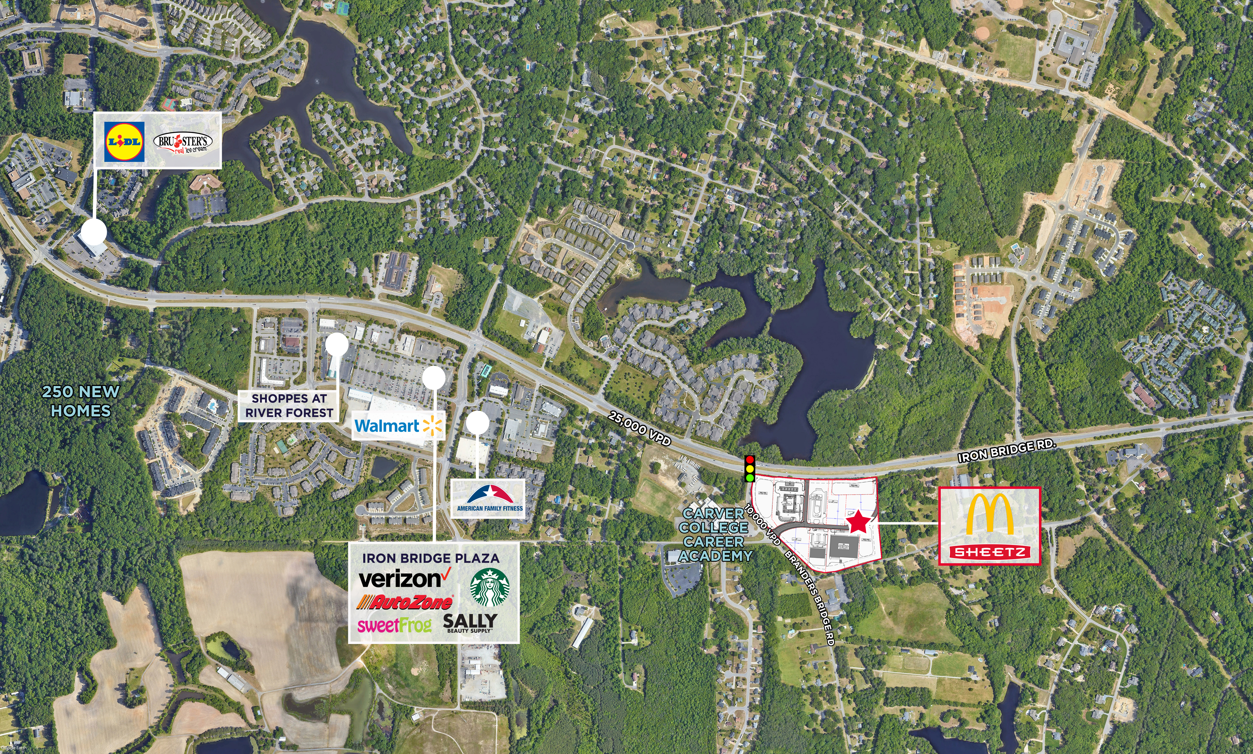 Turtle Crossing image